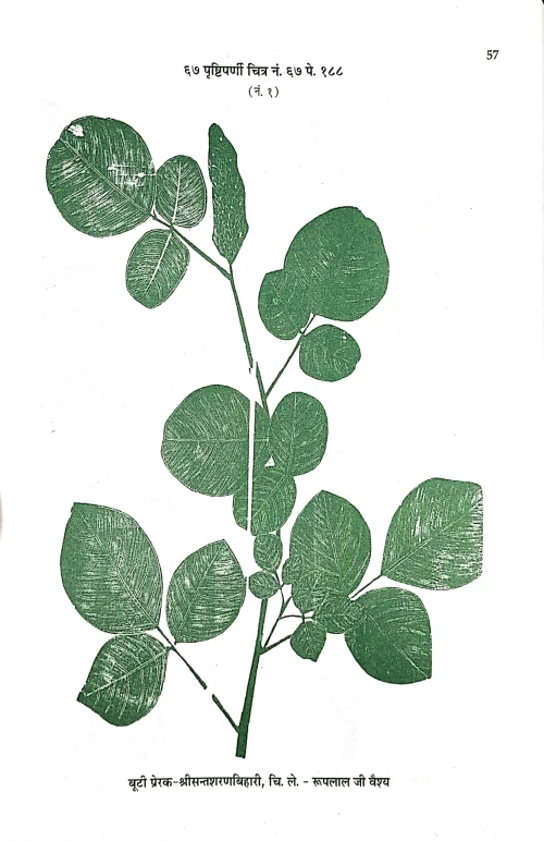 Abhinava Buti Darpana 2vols.